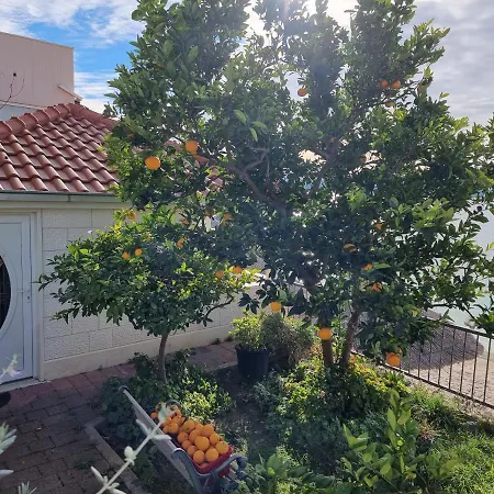 Villa Mario-2
